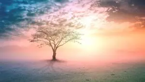 Spirituality / Canva