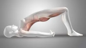 Yoga Poses for Bone Health / Canva