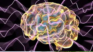 Enhance Working Memory / Canva