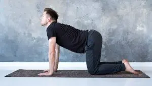 Cat Cow Pose / Canva