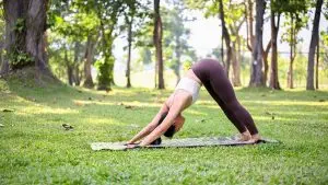 Downward Dog Pose / Canva