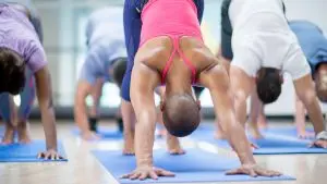 Downward facing dog / Canva