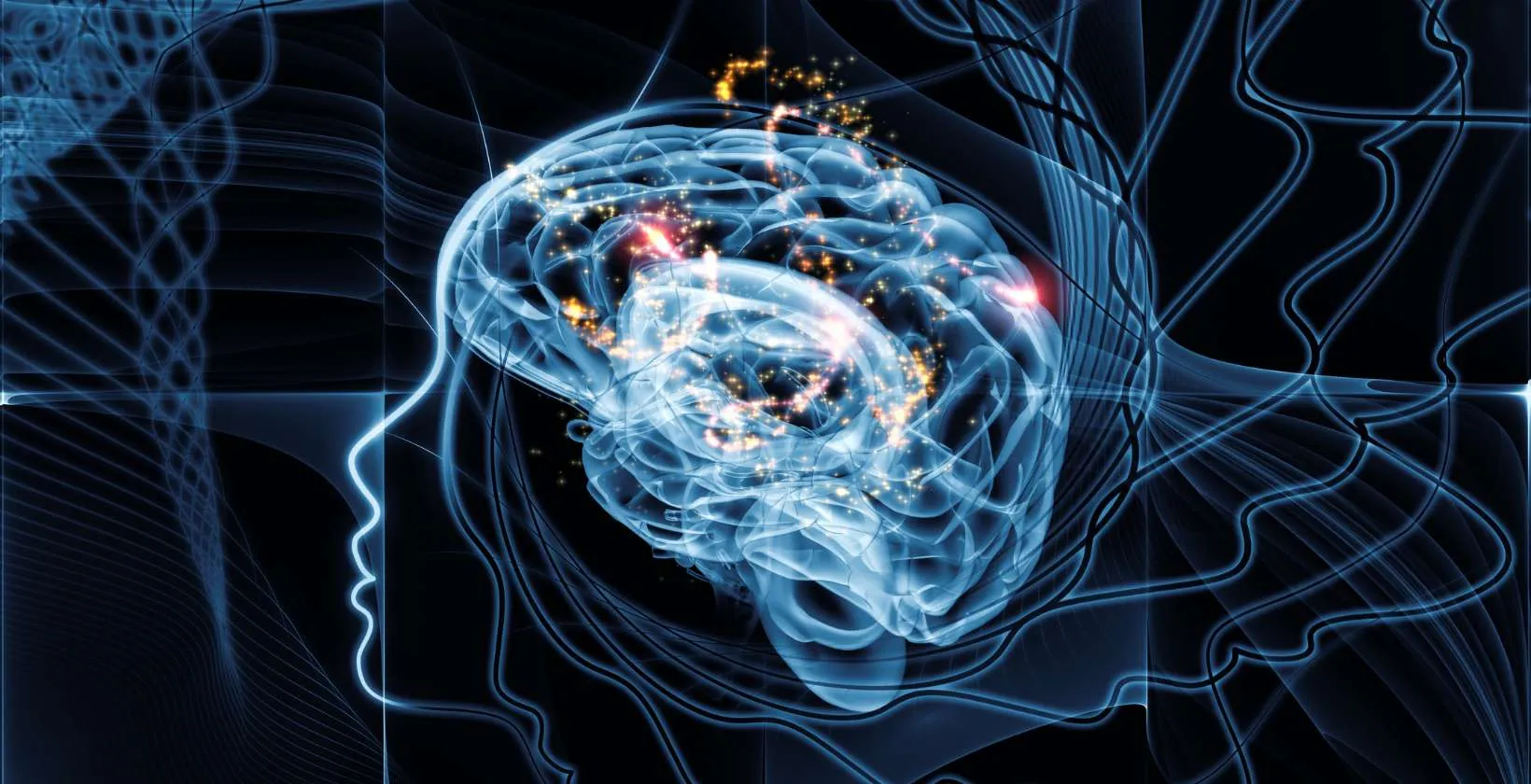 The Science Behind the Mind-Body Connection / Canva