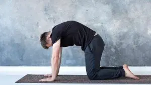 Yoga Cat Cow / Canva