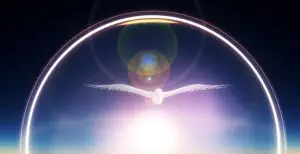 Encountering Animal Totem Energies / Canva