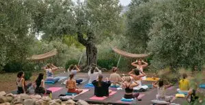 How To Organize Yoga Retreat / Canva