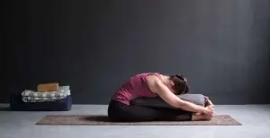 Seated Foreward Bend Bolster / Canva