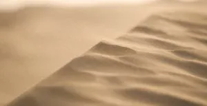 Awareness of Change / Canva