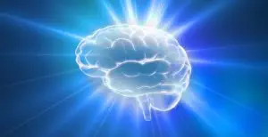 Crucial Functions of the Pineal Gland / Canva