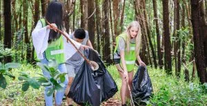 Social Activities / Canva