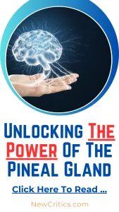 Unlocking The Power Of The Pineal Gland / Canva