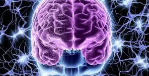 Unlocking The Power Of The Pineal Gland / Canva
