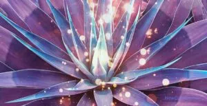 Cuáles son las 7 disciplinas espirituales / C