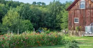 Holistic Homesteading / C