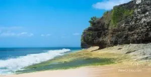 Insights from the World's Blue Zones / C