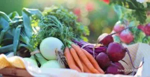 Key Lifestyle Factors for Healthy Longevity / C