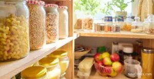 Natural Food Storage Solutions / C