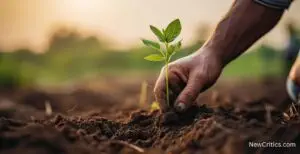 Sustainable Practices / C
