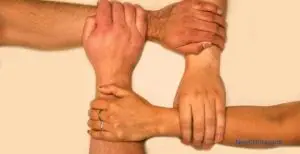 The Integration / C