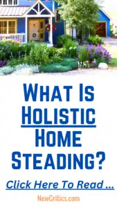 What Is Holistic Home Steading / C
