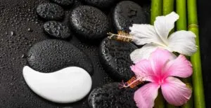 Yin and Yang in Feng Shui / C