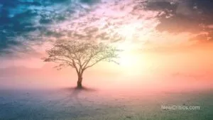 Ejemplos inspiradores de autocuidado espiritual / C