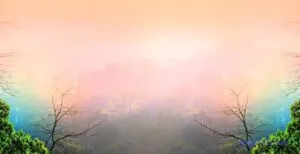 Practices to Enhance Spiritual Health / C