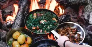 Holistic Bushcraft / C