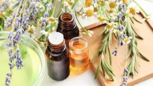 Holistic Healthy Life / C