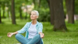 Meditation Techniques for the Elderly Wellness / C