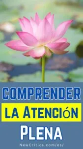 Comprender Atencion Plena / C