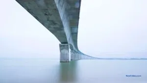 Creativity as a Fundamental Aspect of Human Potential / C