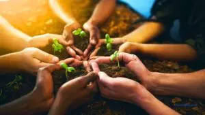 Cultivar juntos el crecimiento espiritual / C