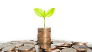 Financial and Spiritual Wellness / C