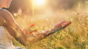 Energy Holistic Wellness / C