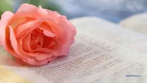 Insights with a Spiritual Reading