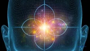 Mindfulness in the Digital Landscape / C