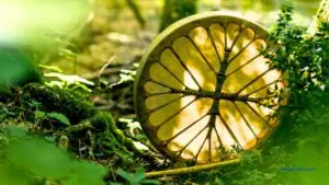 Shamanism and Spiritualism Nature / C