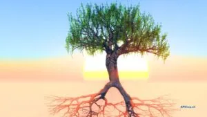 el enraizamiento en mindfulness / C