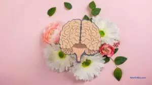 Espiritualidad y salud mental / C
