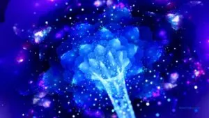 Spirituality and Quantum Physics / C