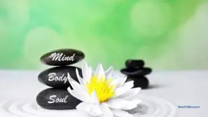Mind, Body, and Soul / C