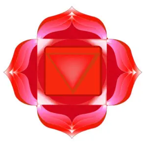 Chakra Raiz