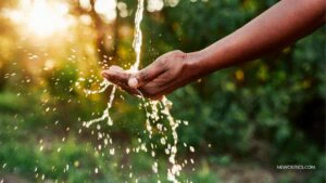 Estilo de Vida Holística para Principiantes / C