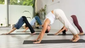 Vinyasa Yoga Burn Calorie