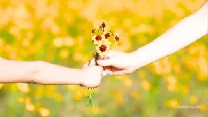 La ciencia detrás de la gratitud