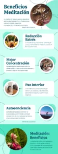 Porque Meditacion Infografia