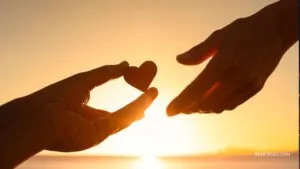 Techniques for Cultivating Kindness Toward Oneself