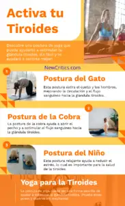 Activar Tu Glándula Tiroides Infografia