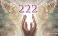 Angelical del Número 222
